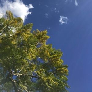 Meet your Posher, Kaitlyn